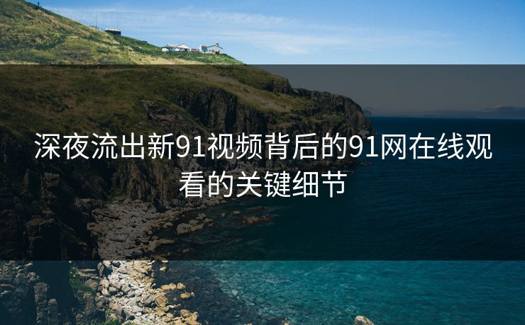 深夜流出新91视频背后的91网在线观看的关键细节