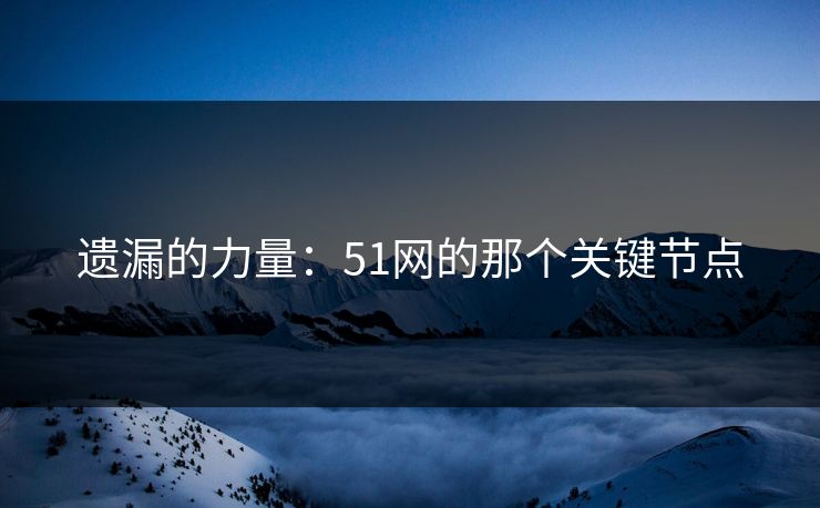 遗漏的力量：51网的那个关键节点