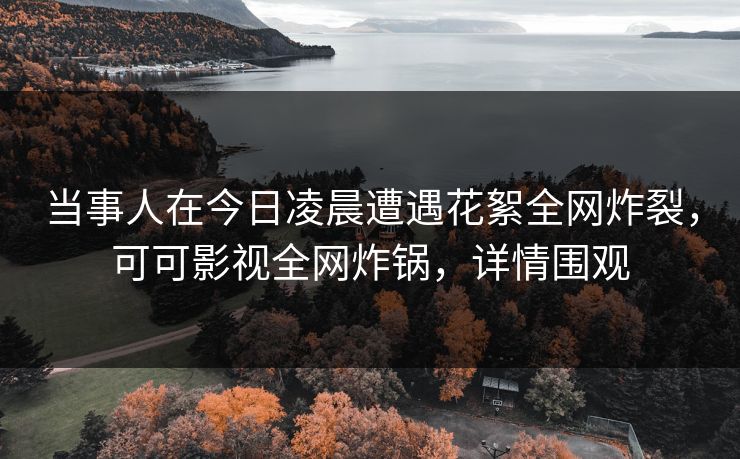 当事人在今日凌晨遭遇花絮全网炸裂，可可影视全网炸锅，详情围观