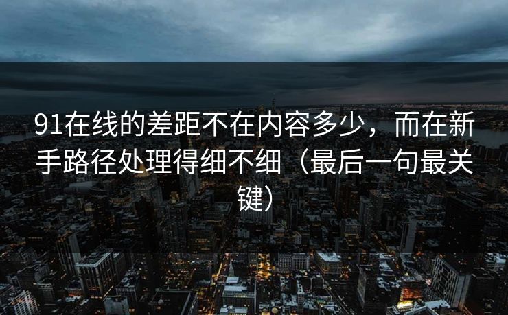 91在线的差距不在内容多少，而在新手路径处理得细不细（最后一句最关键）
