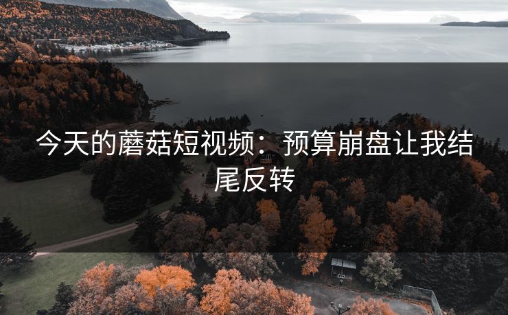今天的蘑菇短视频：预算崩盘让我结尾反转